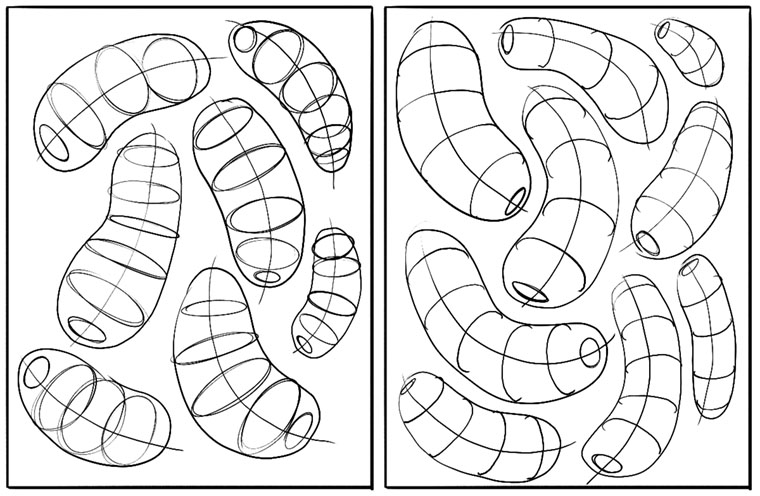 CrashHermit - Organic Forms with Contour Curves