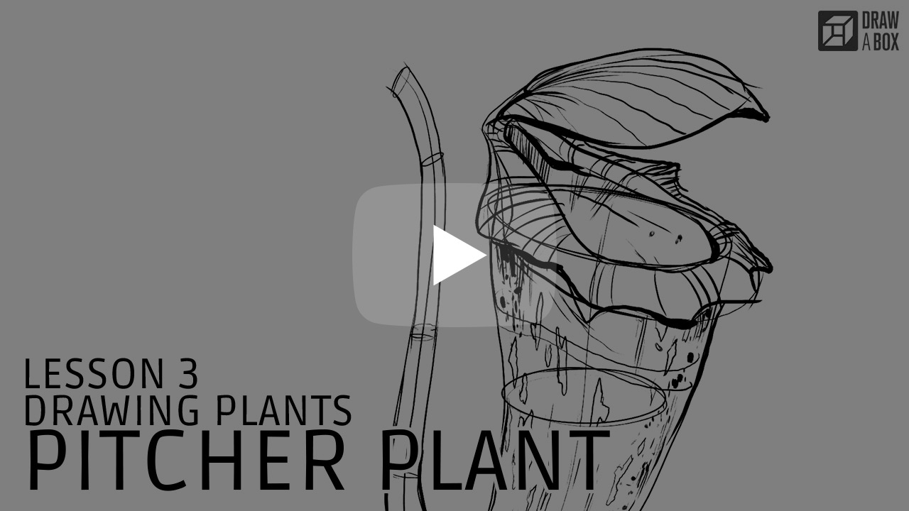 Draw a diagram of the pitcher plant and write its mode of nutrients.