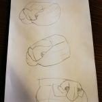 Drawabox.com | Muzzle form practice of different species by AmFennyFox